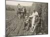 Two Farmers Take a Welcome Break from Ploughing and a Kindly Woman Pours One of Them a Drink-null-Mounted Photographic Print