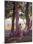 Two Female Nudes under Pine Trees-Theo van Rysselberghe-Mounted Giclee Print