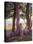 Two Female Nudes under Pine Trees-Theo van Rysselberghe-Stretched Canvas