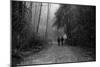 Two Figures Walking in Distance in Woodland-Sharon Wish-Mounted Photographic Print