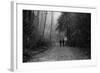 Two Figures Walking in Distance in Woodland-Sharon Wish-Framed Photographic Print