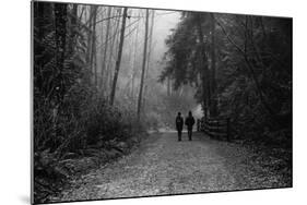 Two Figures Walking in Distance in Woodland-Sharon Wish-Mounted Photographic Print