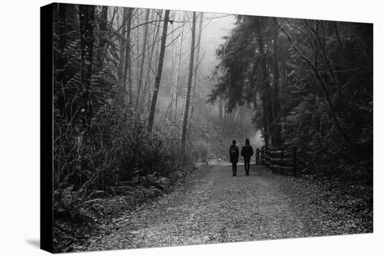 Two Figures Walking in Distance in Woodland-Sharon Wish-Stretched Canvas