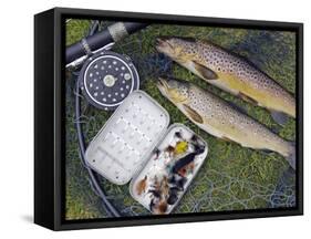 Two Fine Brown Trout Caught with Dapping Fly and Rod from a Boat on Loch Ba-John Warburton-lee-Framed Stretched Canvas