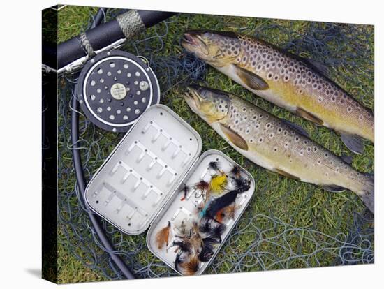 Two Fine Brown Trout Caught with Dapping Fly and Rod from a Boat on Loch Ba-John Warburton-lee-Stretched Canvas