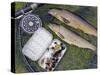 Two Fine Brown Trout Caught with Dapping Fly and Rod from a Boat on Loch Ba-John Warburton-lee-Stretched Canvas