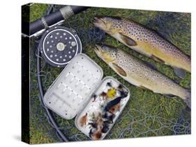 Two Fine Brown Trout Caught with Dapping Fly and Rod from a Boat on Loch Ba-John Warburton-lee-Stretched Canvas