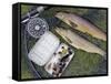 Two Fine Brown Trout Caught with Dapping Fly and Rod from a Boat on Loch Ba-John Warburton-lee-Framed Stretched Canvas
