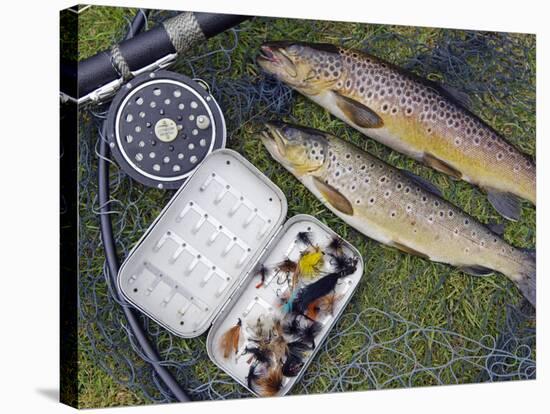 Two Fine Brown Trout Caught with Dapping Fly and Rod from a Boat on Loch Ba-John Warburton-lee-Stretched Canvas