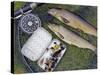 Two Fine Brown Trout Caught with Dapping Fly and Rod from a Boat on Loch Ba-John Warburton-lee-Stretched Canvas