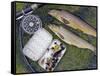 Two Fine Brown Trout Caught with Dapping Fly and Rod from a Boat on Loch Ba-John Warburton-lee-Framed Stretched Canvas