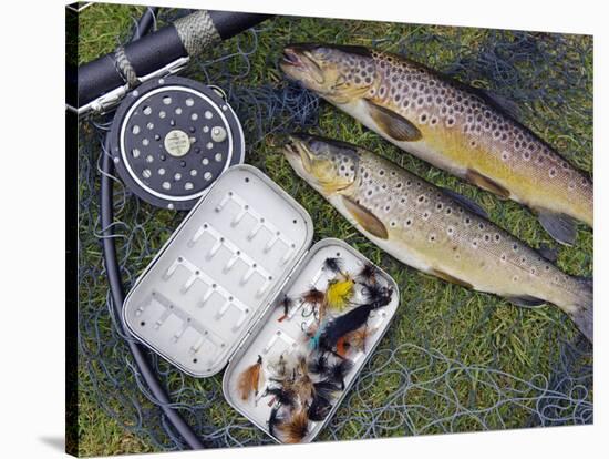 Two Fine Brown Trout Caught with Dapping Fly and Rod from a Boat on Loch Ba-John Warburton-lee-Stretched Canvas