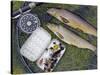 Two Fine Brown Trout Caught with Dapping Fly and Rod from a Boat on Loch Ba-John Warburton-lee-Stretched Canvas