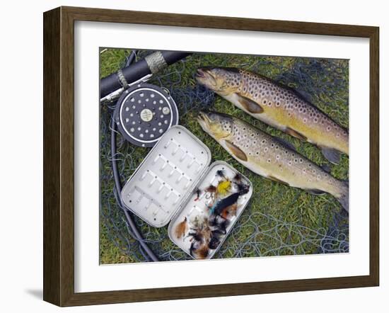 Two Fine Brown Trout Caught with Dapping Fly and Rod from a Boat on Loch Ba-John Warburton-lee-Framed Photographic Print