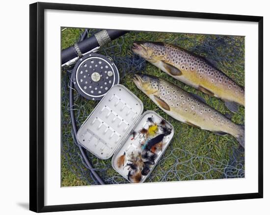 Two Fine Brown Trout Caught with Dapping Fly and Rod from a Boat on Loch Ba-John Warburton-lee-Framed Photographic Print