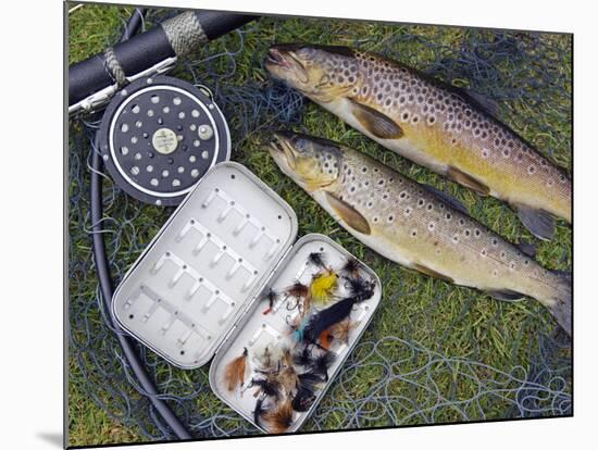 Two Fine Brown Trout Caught with Dapping Fly and Rod from a Boat on Loch Ba-John Warburton-lee-Mounted Photographic Print