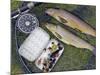 Two Fine Brown Trout Caught with Dapping Fly and Rod from a Boat on Loch Ba-John Warburton-lee-Mounted Photographic Print