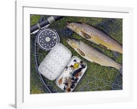 Two Fine Brown Trout Caught with Dapping Fly and Rod from a Boat on Loch Ba-John Warburton-lee-Framed Photographic Print