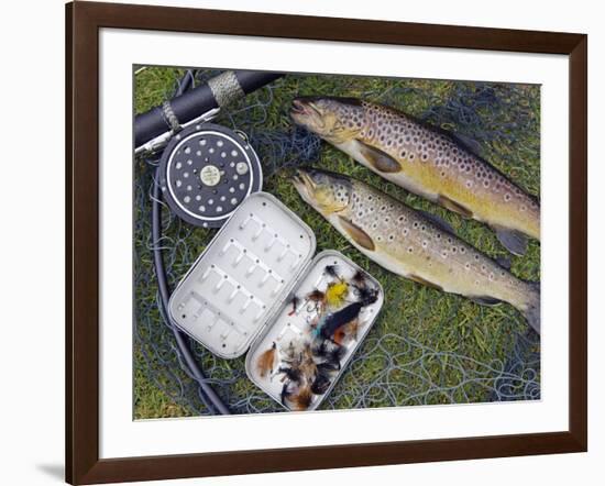 Two Fine Brown Trout Caught with Dapping Fly and Rod from a Boat on Loch Ba-John Warburton-lee-Framed Photographic Print