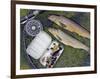 Two Fine Brown Trout Caught with Dapping Fly and Rod from a Boat on Loch Ba-John Warburton-lee-Framed Photographic Print