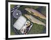 Two Fine Brown Trout Caught with Dapping Fly and Rod from a Boat on Loch Ba-John Warburton-lee-Framed Photographic Print