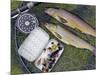 Two Fine Brown Trout Caught with Dapping Fly and Rod from a Boat on Loch Ba-John Warburton-lee-Mounted Photographic Print