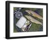 Two Fine Brown Trout Caught with Dapping Fly and Rod from a Boat on Loch Ba-John Warburton-lee-Framed Photographic Print