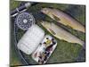 Two Fine Brown Trout Caught with Dapping Fly and Rod from a Boat on Loch Ba-John Warburton-lee-Mounted Photographic Print