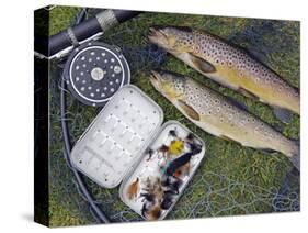 Two Fine Brown Trout Caught with Dapping Fly and Rod from a Boat on Loch Ba-John Warburton-lee-Stretched Canvas