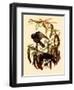 Two Fish Crows-John James Audubon-Framed Giclee Print