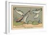 Two Fish Hook a Pan to the Hook in the Fisherman's Line.” A Good Joke” ,1936 (Illustration)-Benjamin Rabier-Framed Giclee Print