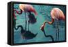 Two Flamingos-Lynn Watson-Framed Stretched Canvas