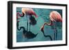 Two Flamingos-Lynn Watson-Framed Photographic Print