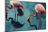 Two Flamingos-Lynn Watson-Mounted Photographic Print