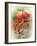 Two Flamingos-Debra Van Swearingen-Framed Photographic Print