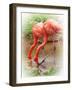 Two Flamingos-Debra Van Swearingen-Framed Photographic Print