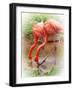 Two Flamingos-Debra Van Swearingen-Framed Photographic Print