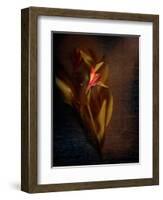 Two Floral Stems-Robert Cattan-Framed Photographic Print