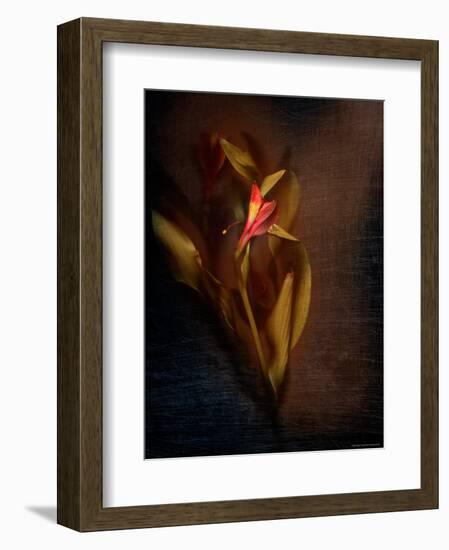 Two Floral Stems-Robert Cattan-Framed Photographic Print