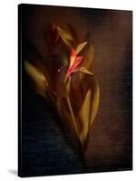 Two Floral Stems-Robert Cattan-Stretched Canvas