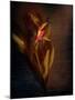 Two Floral Stems-Robert Cattan-Mounted Photographic Print