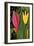 Two Flowers-Rabi Khan-Framed Art Print