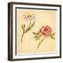 Two Flowers-Romney Gay-Framed Art Print