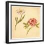 Two Flowers-Romney Gay-Framed Art Print