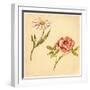 Two Flowers-Romney Gay-Framed Art Print