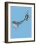 Two for Joy-Drawpaint Illustration-Framed Giclee Print