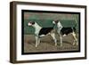 Two Fox Hounds-null-Framed Art Print