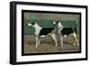 Two Fox Hounds-null-Framed Art Print