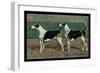 Two Fox Hounds-null-Framed Art Print