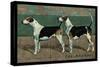 Two Fox Hounds-null-Stretched Canvas